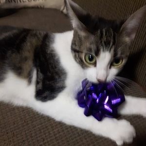 Meet your Posher, Jan